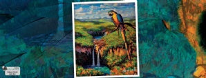 Lata Araras 9,9x17,6 - Alto Paraíso