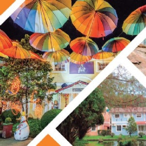 Lata Penedo Mosaico Fotos 9,9x17,6 cm - Penedo