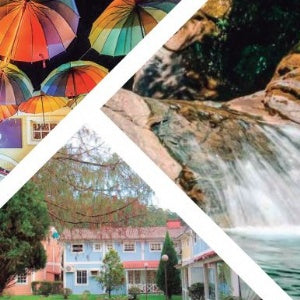 Lata Penedo Mosaico Fotos 16,5x6,6 cm - Penedo