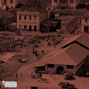 Lata Campos do Jordão Abernéssia 9,9x17,6 cm - Campos do Jordão Novas