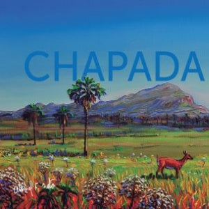 Lata Alto Paraíso Paisagem 16,5x6,6 - Alto Paraíso
