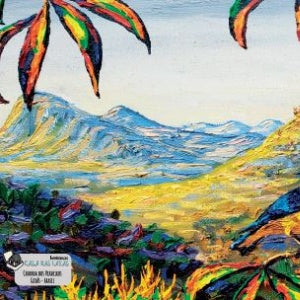 Lata Alto Paraíso Passáros 16,5x6,6 - Alto Paraíso