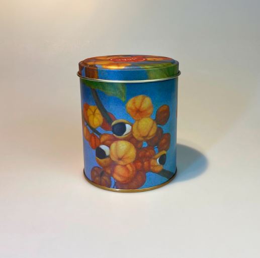 Lata Guaraná 9,9 x 12,2 cm - Amazônia